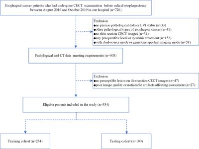 Contrast-Enhanced CT-Based Radiomics Analysis in Predicting Lymphovascular Invasion in Esophageal Squamous Cell Carcinoma